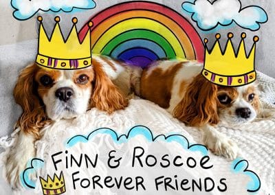 Custom Pet Illustration