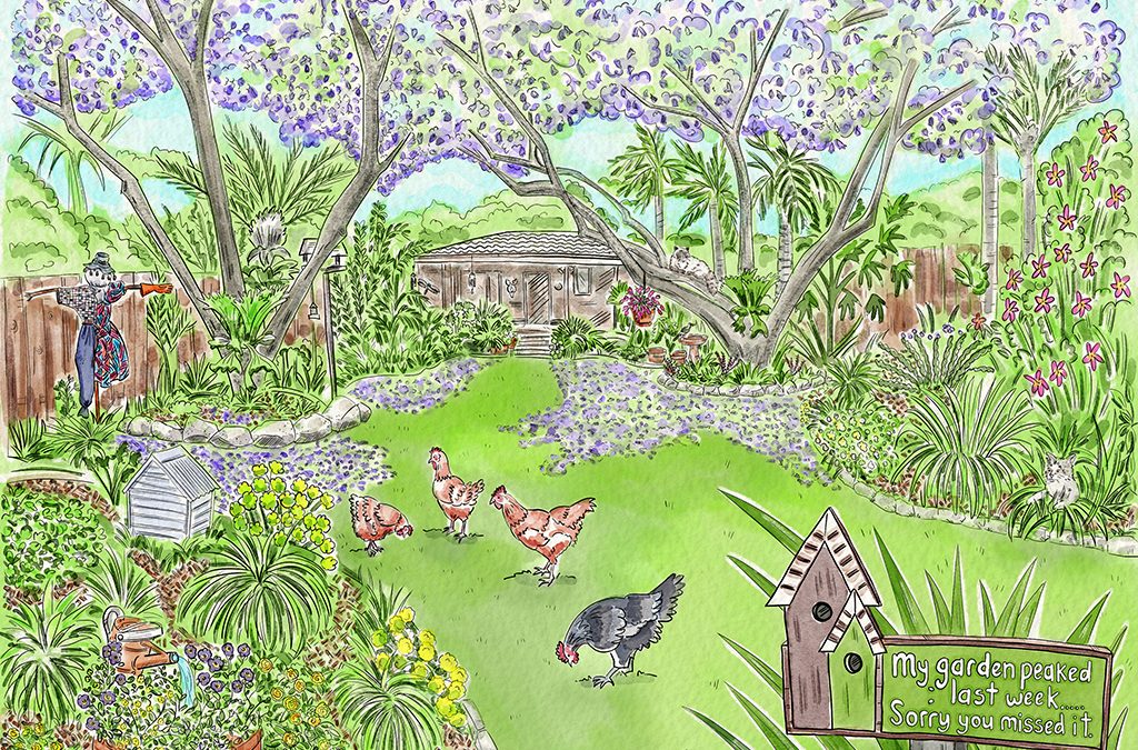 Garden Illustration